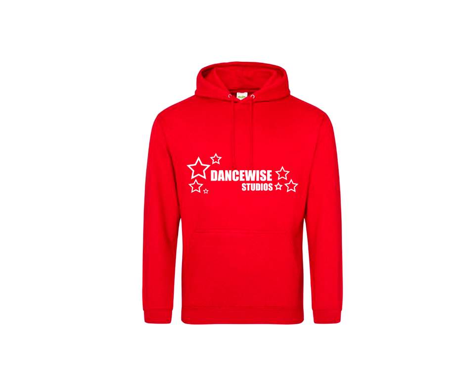 dancewise studios hoodie for kids and adults